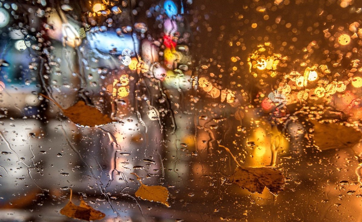 Бесплатные фотографии долгого золотого дождика доступны вам в любое время дня и ночи