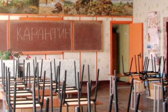 В Киеве введен карантин из-за свиного гриппа
