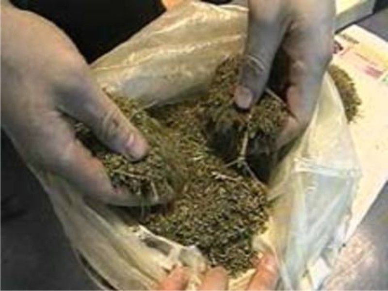Каналы поставки марихуаны як на організм впливає конопля