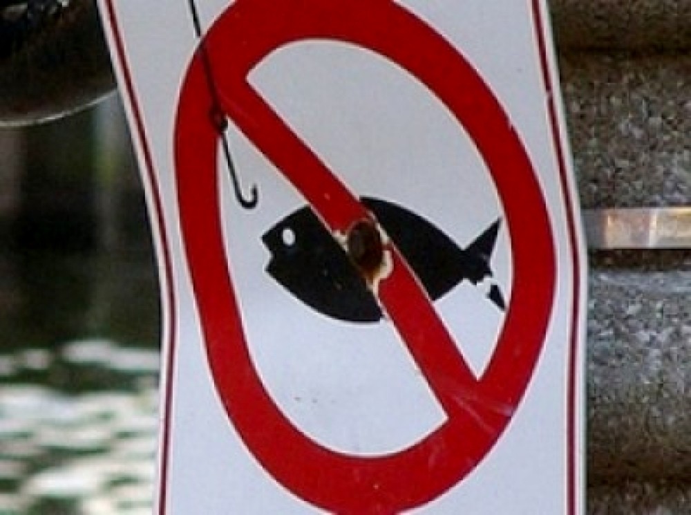 Весенний запрет на лов. Рыбалка запрещена. Запрет на ловлю рыбы. Заборона рибальства.