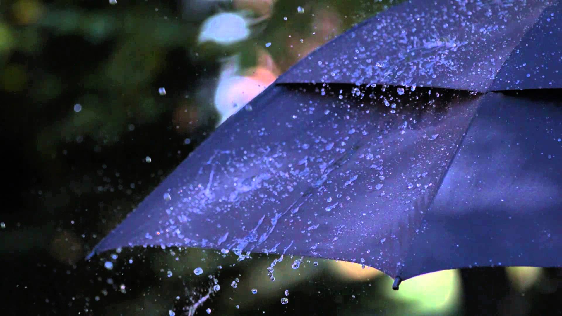 Дожди почти. Heavy Rain Umbrella. Rain on Umbrella. Ураган дерево дождь зонт. Дождливый Зеленодольск.