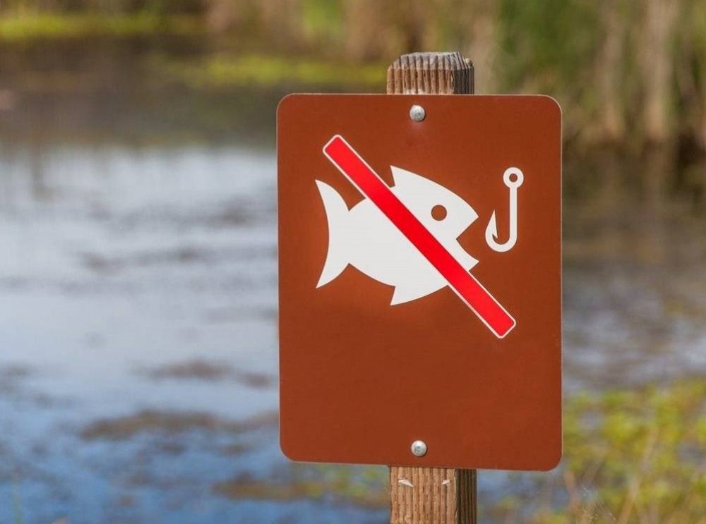 запрет на рыбалку с