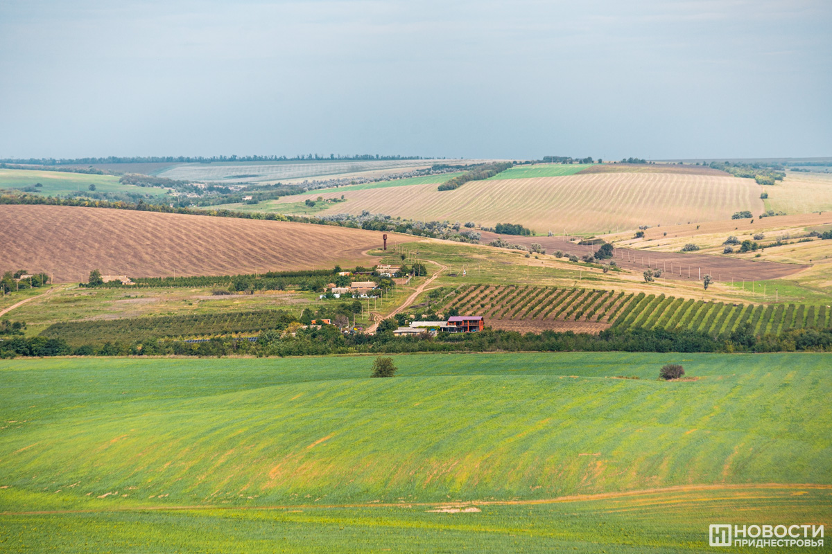Фото из архива информационного агентства "Новости Приднестровья"