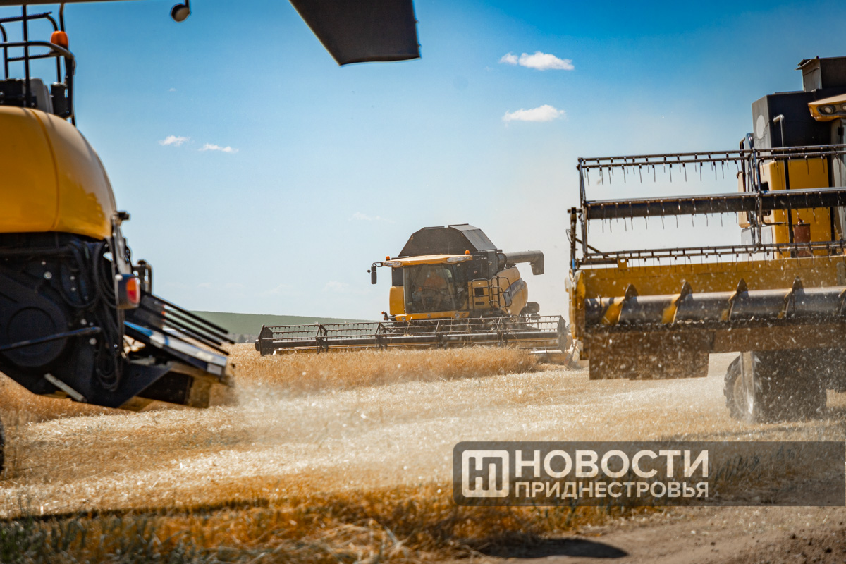 Фото из архива ИА "Новости Приднестровья"