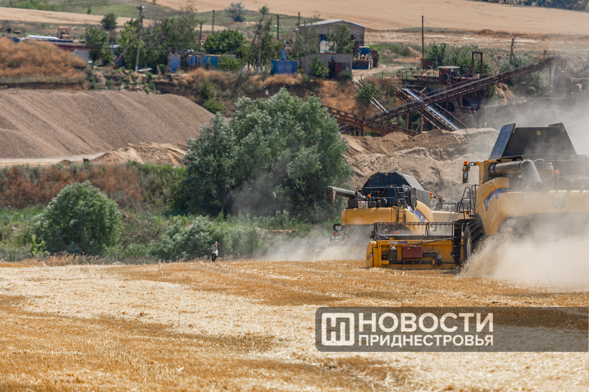 Фото из архива информационного агентства "Новости Приднестровья"