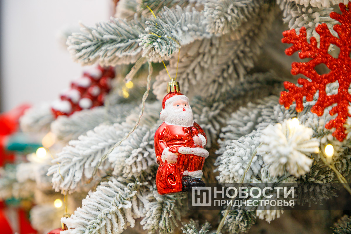 Фото из архива ИА «Новости Приднестровья»