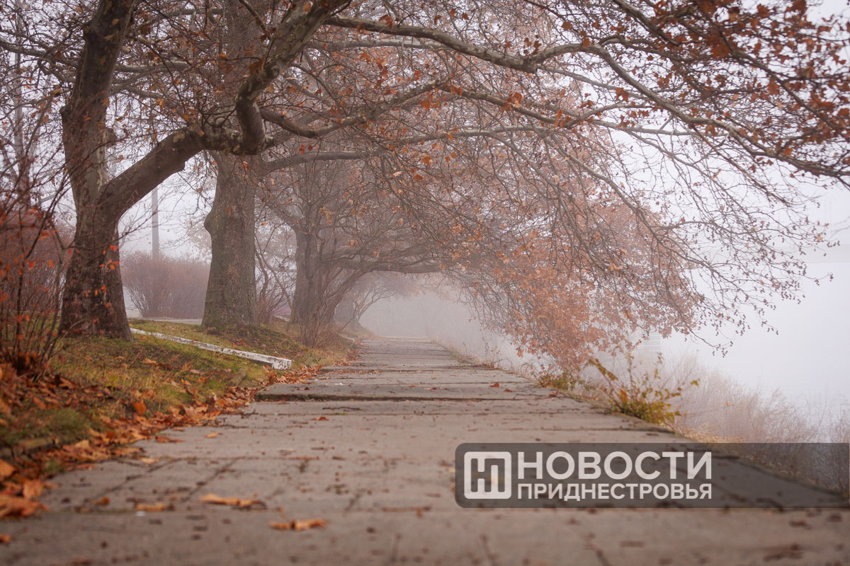 Фото из архива информационного агентства "Новости Приднестровья"