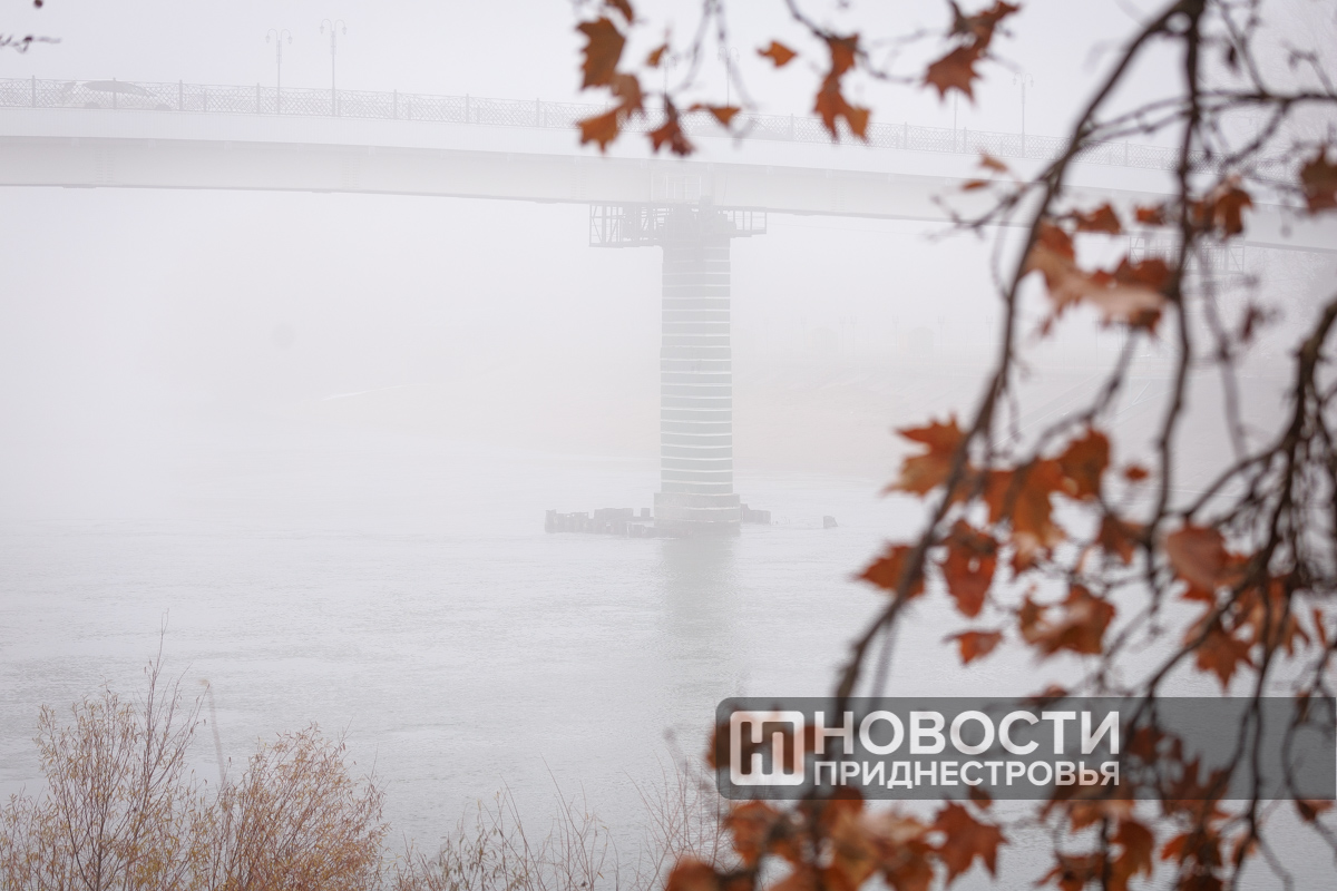 Фото из архива информационного агентства "Новости Приднестровья"