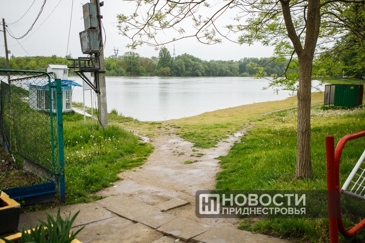 Уровень Днестра заметно повысился в Тирасполе и Бендерах | Новости  Приднестровья