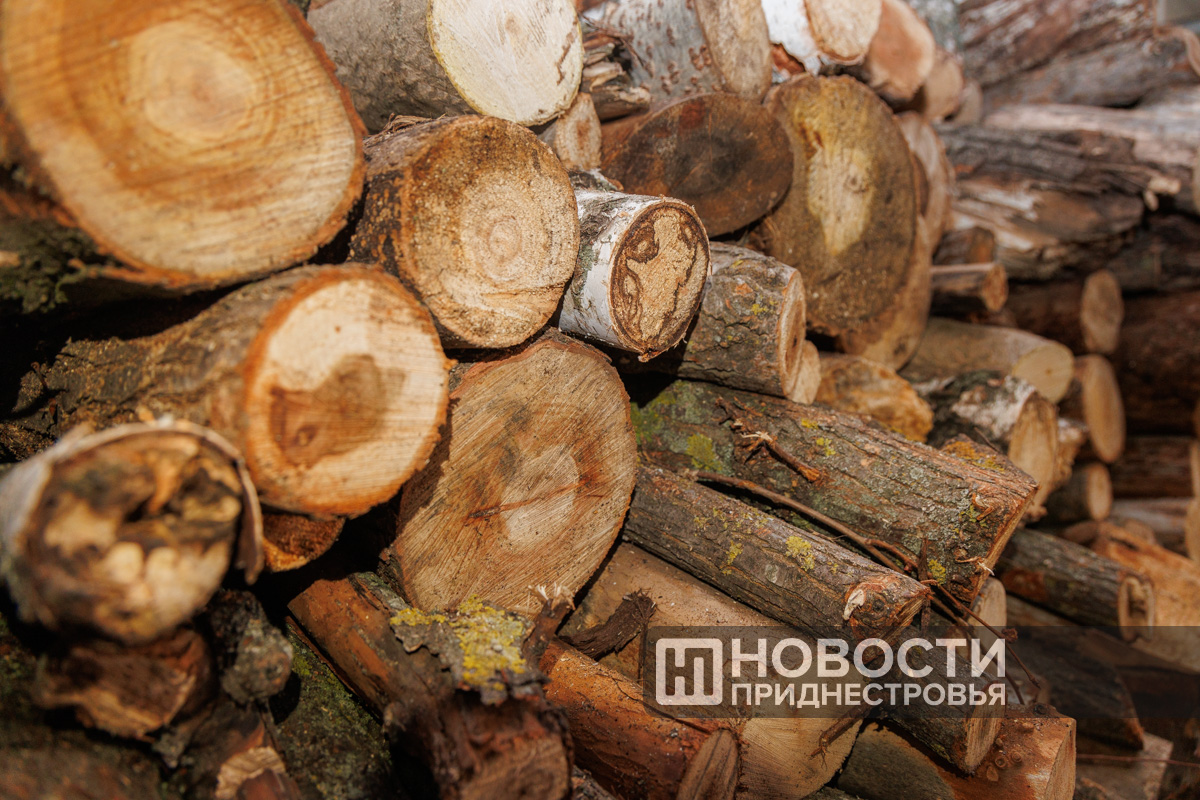 Фото из архива ИА «Новости Приднестровья»