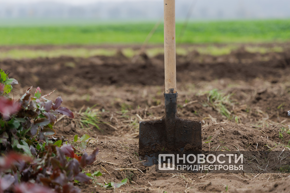 Фото из архива ИА "Новости Приднестровья"