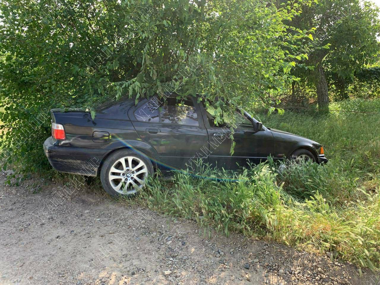 Водитель BMW в Незавертайловке сбил девочку на обочине дороги | Новости  Приднестровья