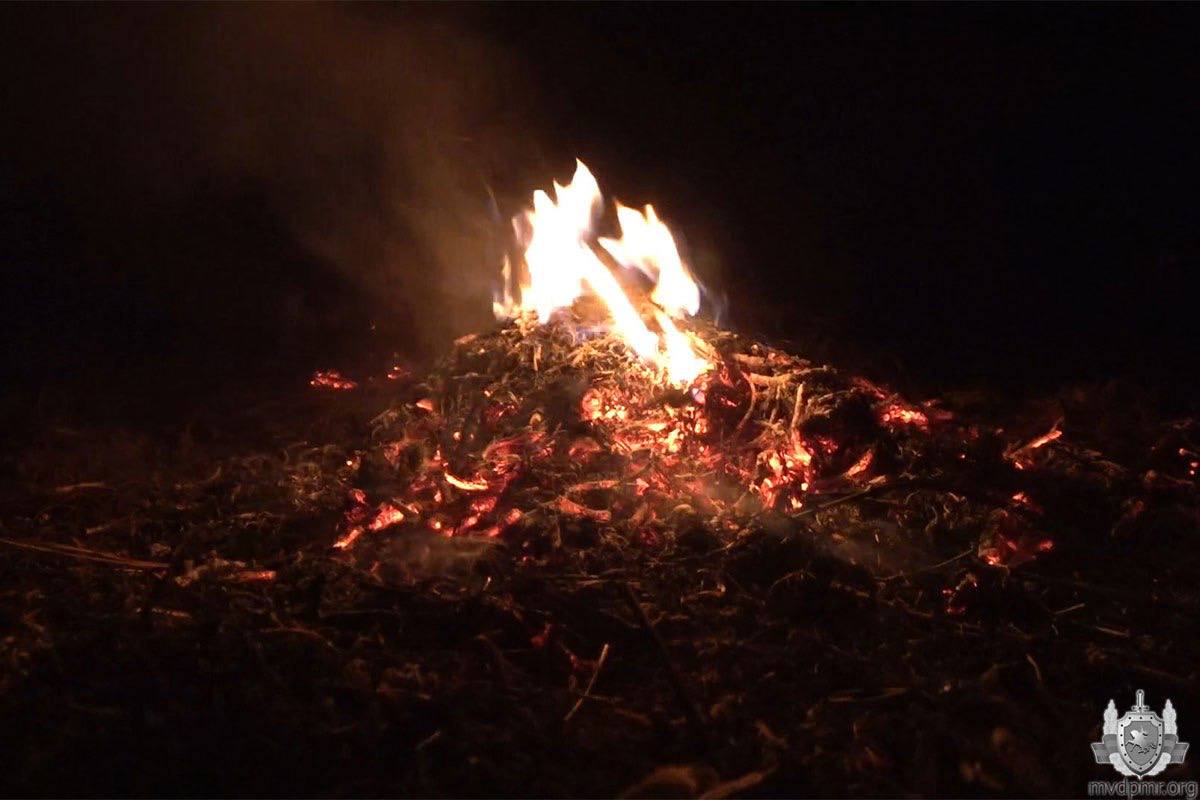 Штраф за сжигание листвы