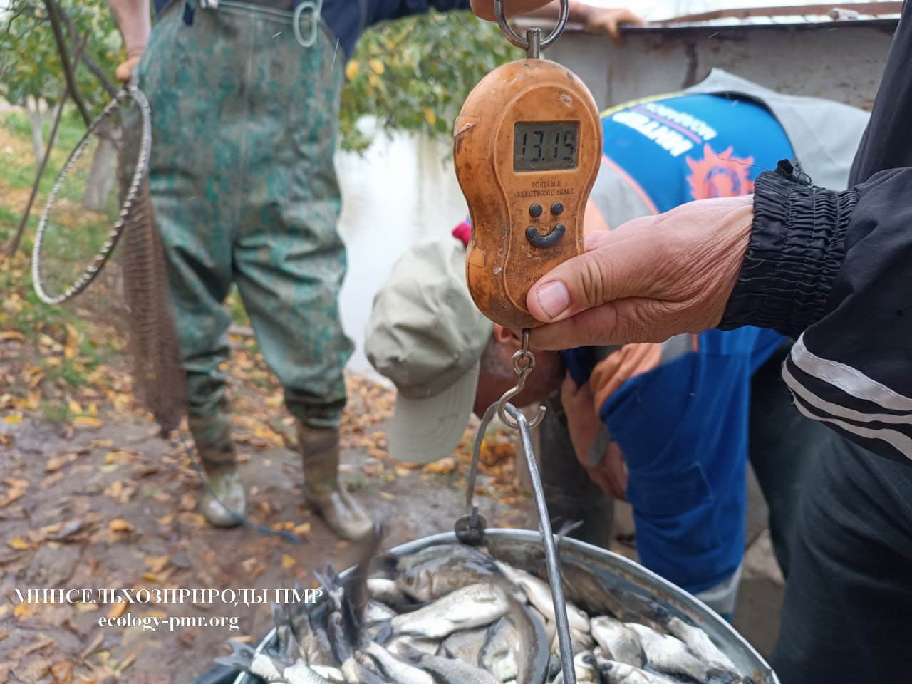 Фото: пресс-служба Минсельхозприроды