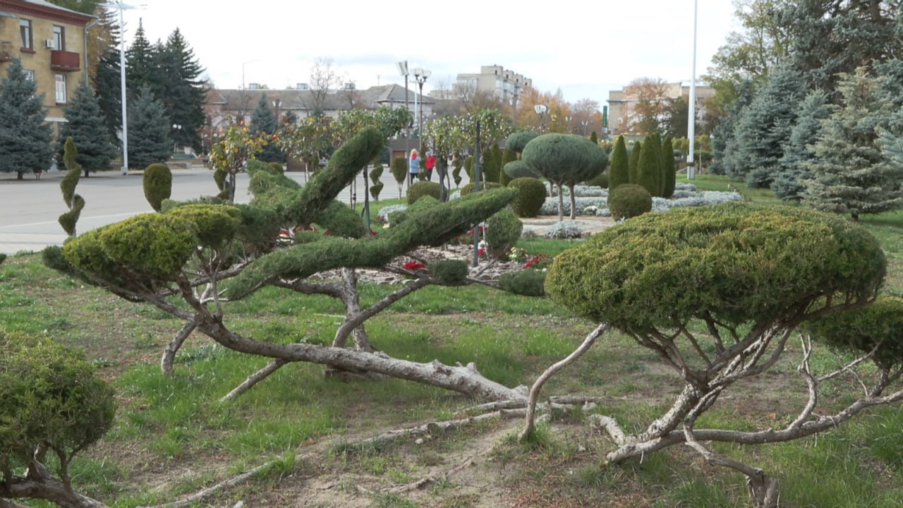 Фото: t.me/bendery_tv