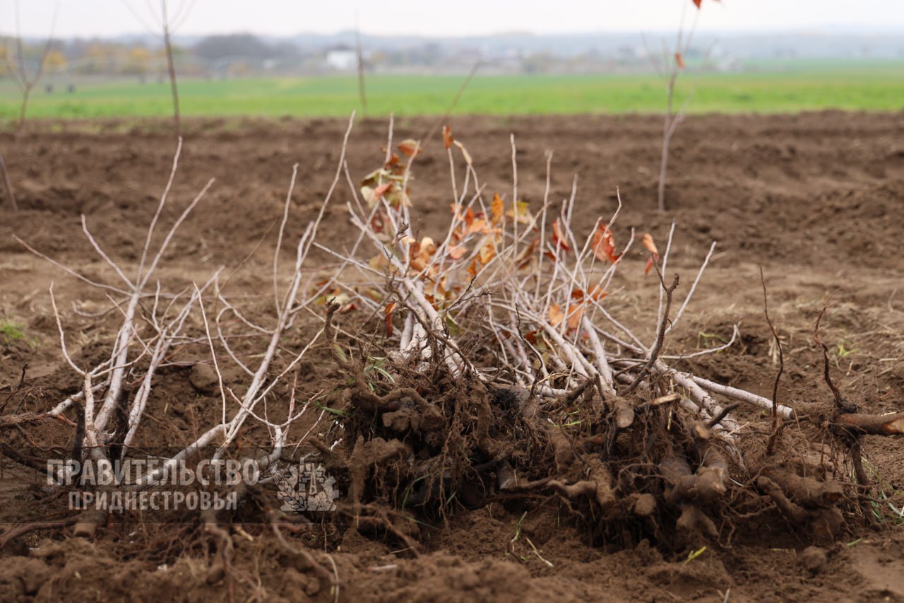 Фото: пресс-служба Правительства