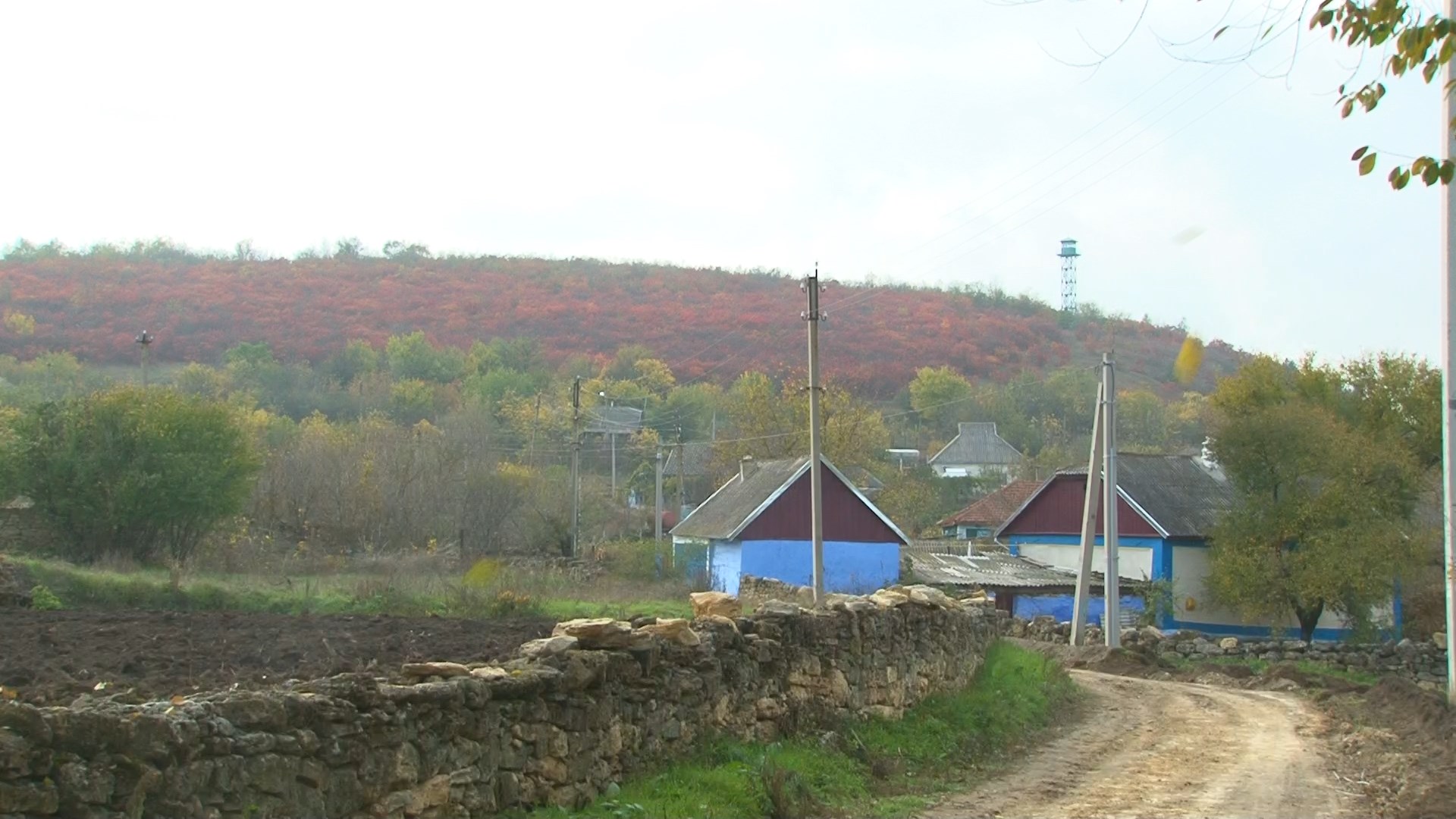 Село Дубово Дубоссарского района