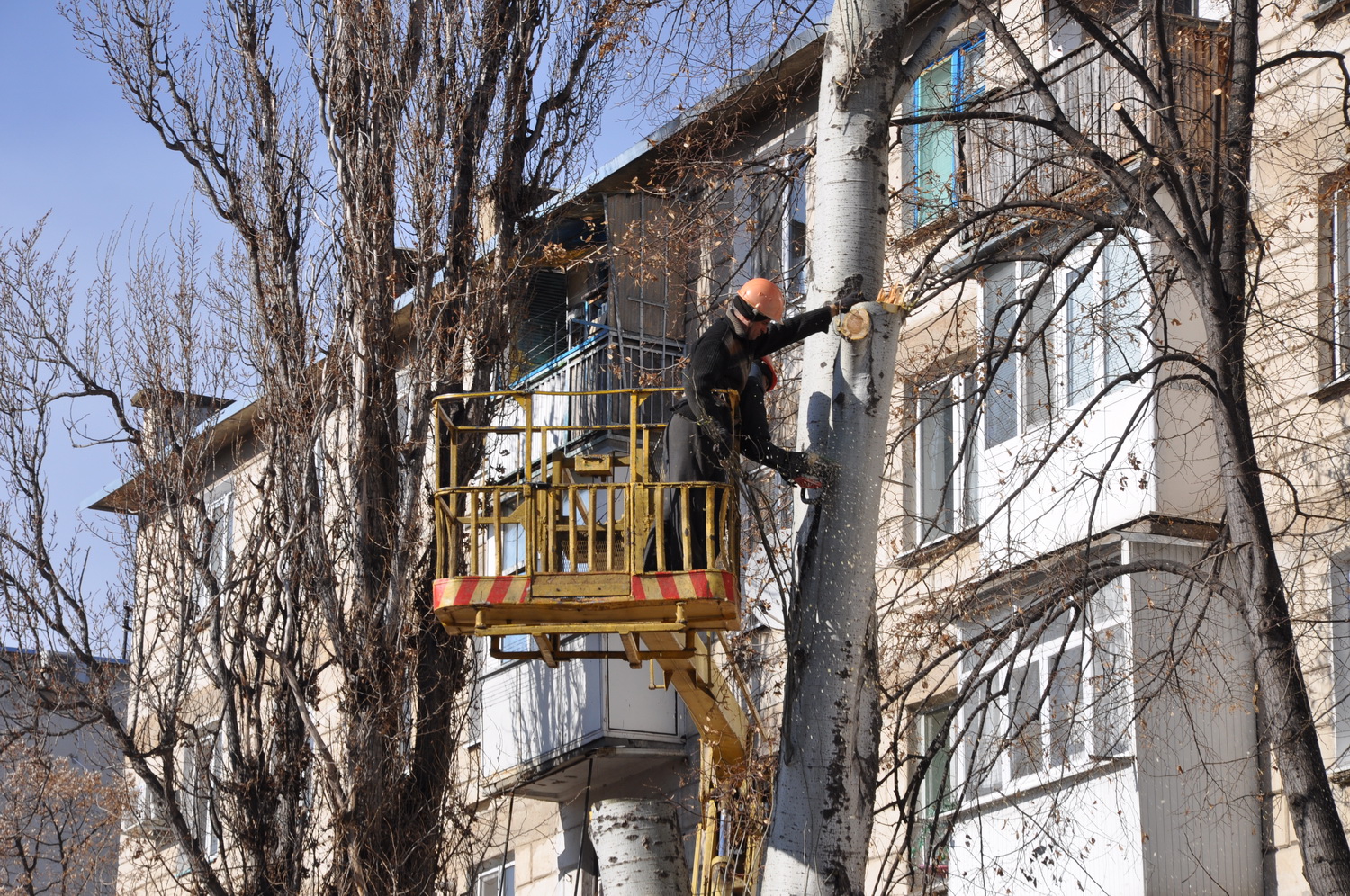 Работы по замене коллектора на одной из улиц Бендер будут идти весь март |  Новости Приднестровья