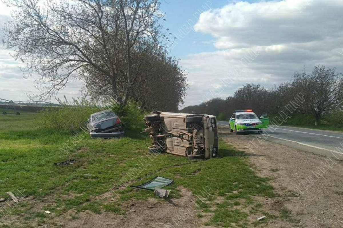 В Рыбницком районе автомобиль слетел с дороги и врезался в дерево | Новости  Приднестровья