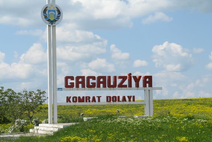 Герб гагаузии фото