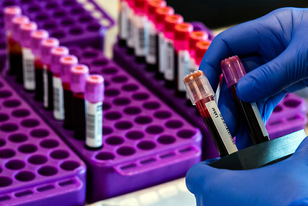 Фото: israelhayom.com