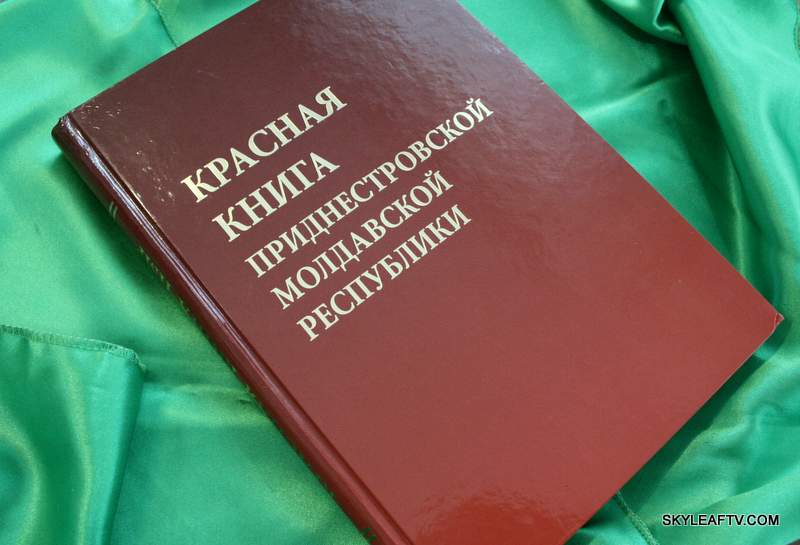 Красная книга молдовы фото