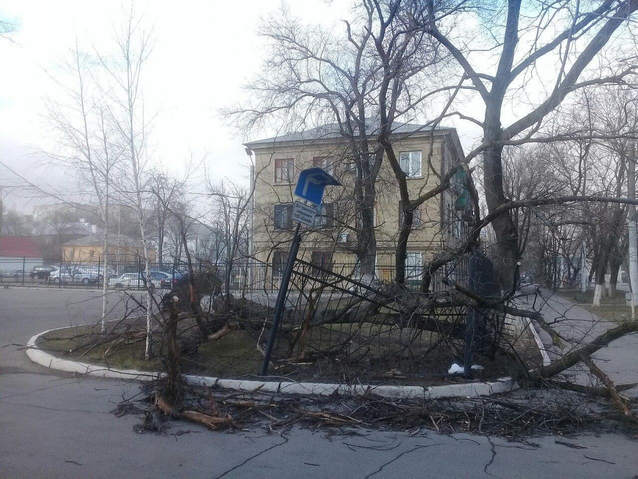 Поваленные деревья, сорванные крыши и другие последствия урагана | Новости  Приднестровья