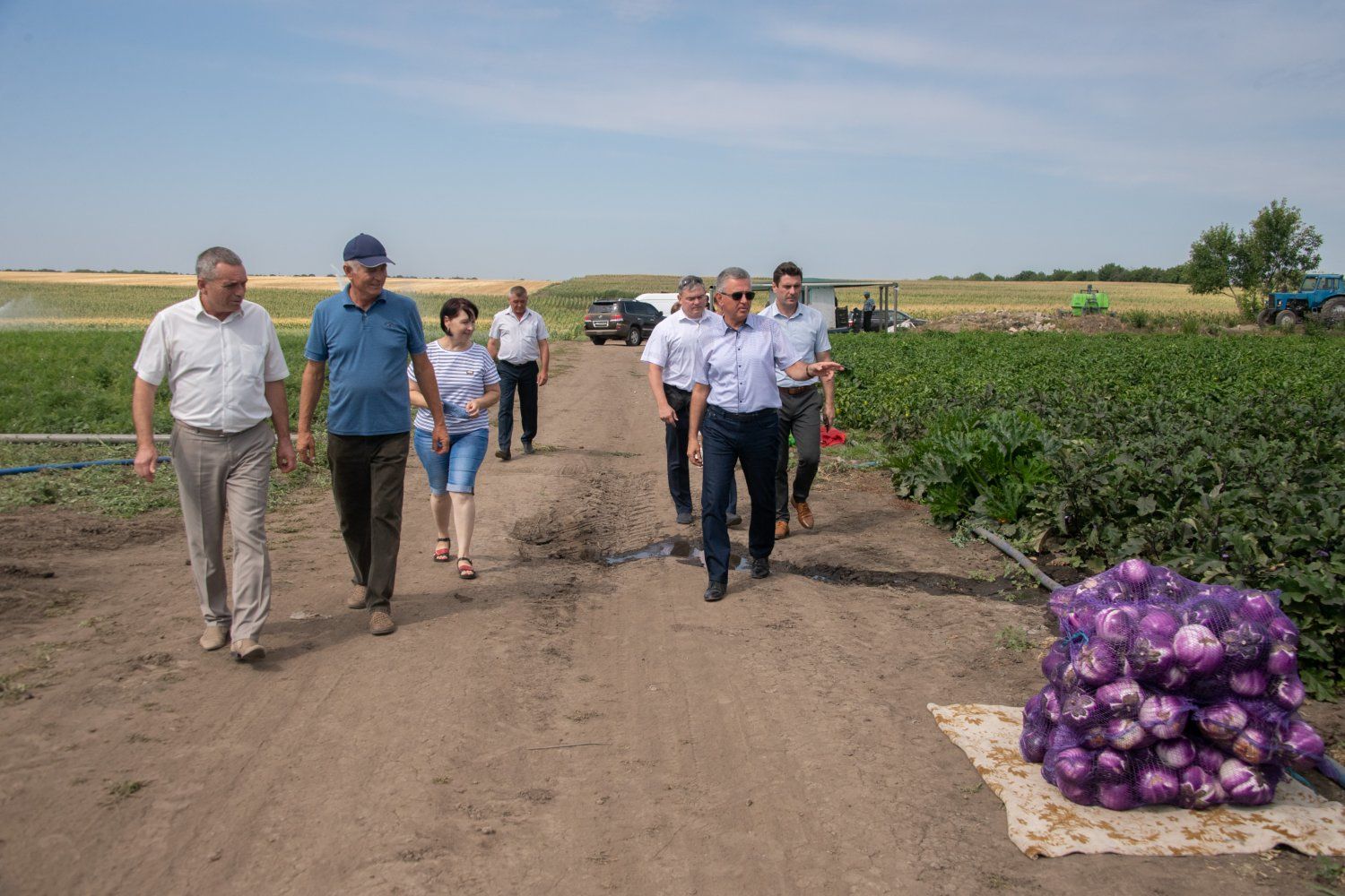 Новости хозяйства. Агро компакт Григориополь. Урожай Приднестровье. Битва за урожай. Урожай 2022.