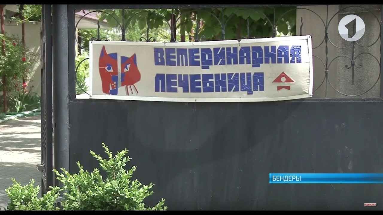 История спасения с печальным финалом