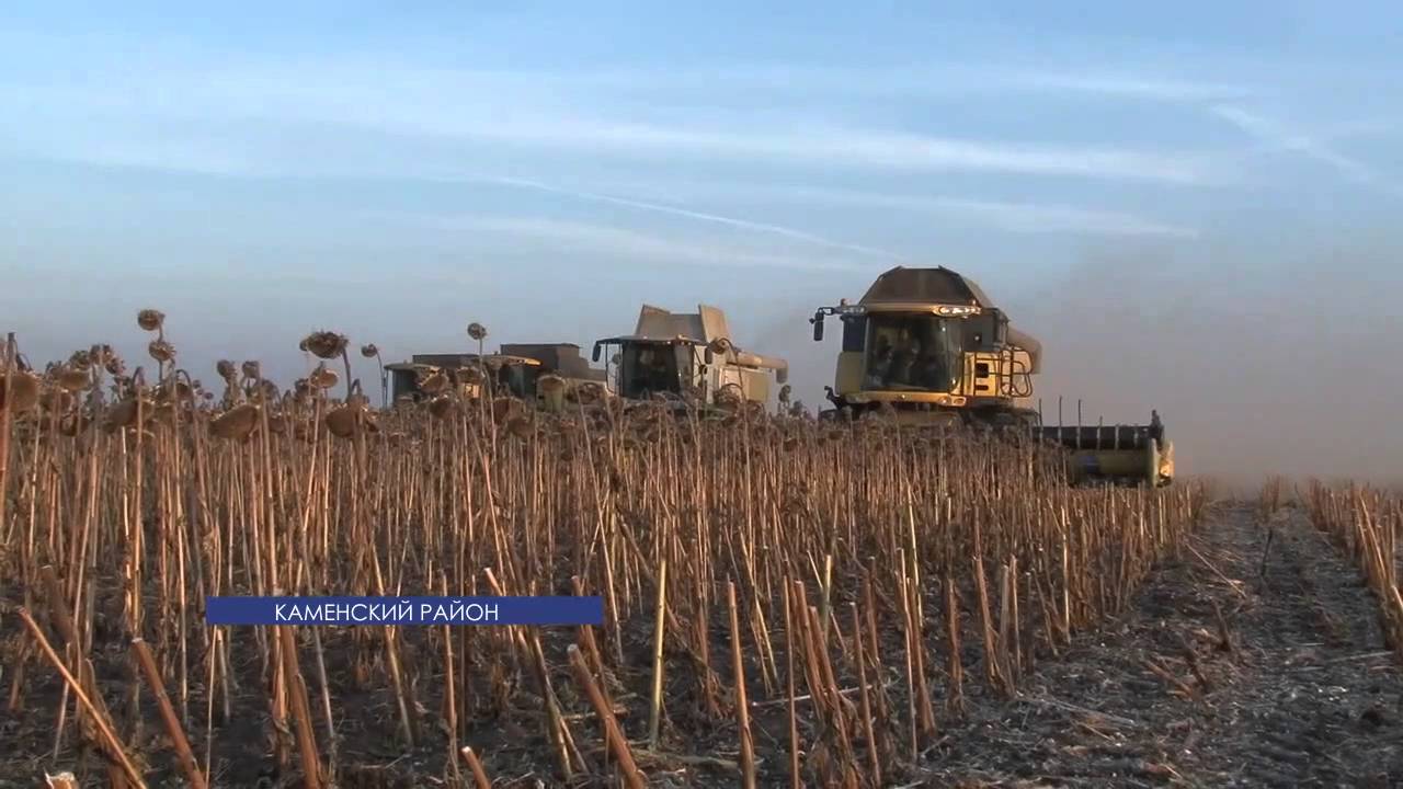 Кампания «Герои нашего времени»: Александр Гиореску