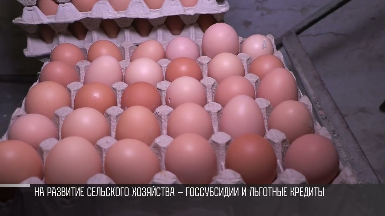 Продовольственная безопасность и помощь аграриям