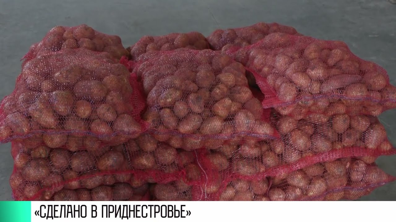 #КЭБ_Итоги. Бренд «приднестровский»