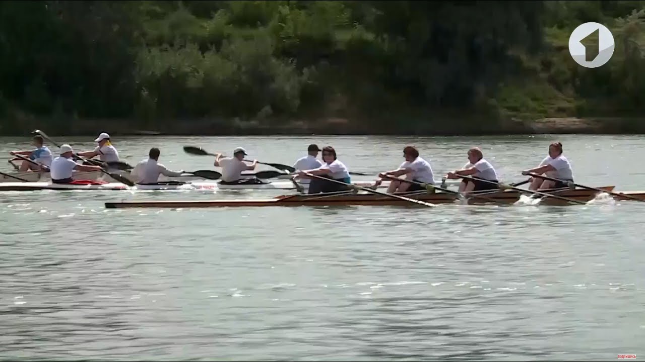 «Президент за здоровый образ жизни». Гребная регата в новом формате