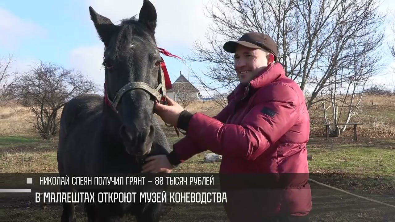 В Малаештах откроют музей коневодства