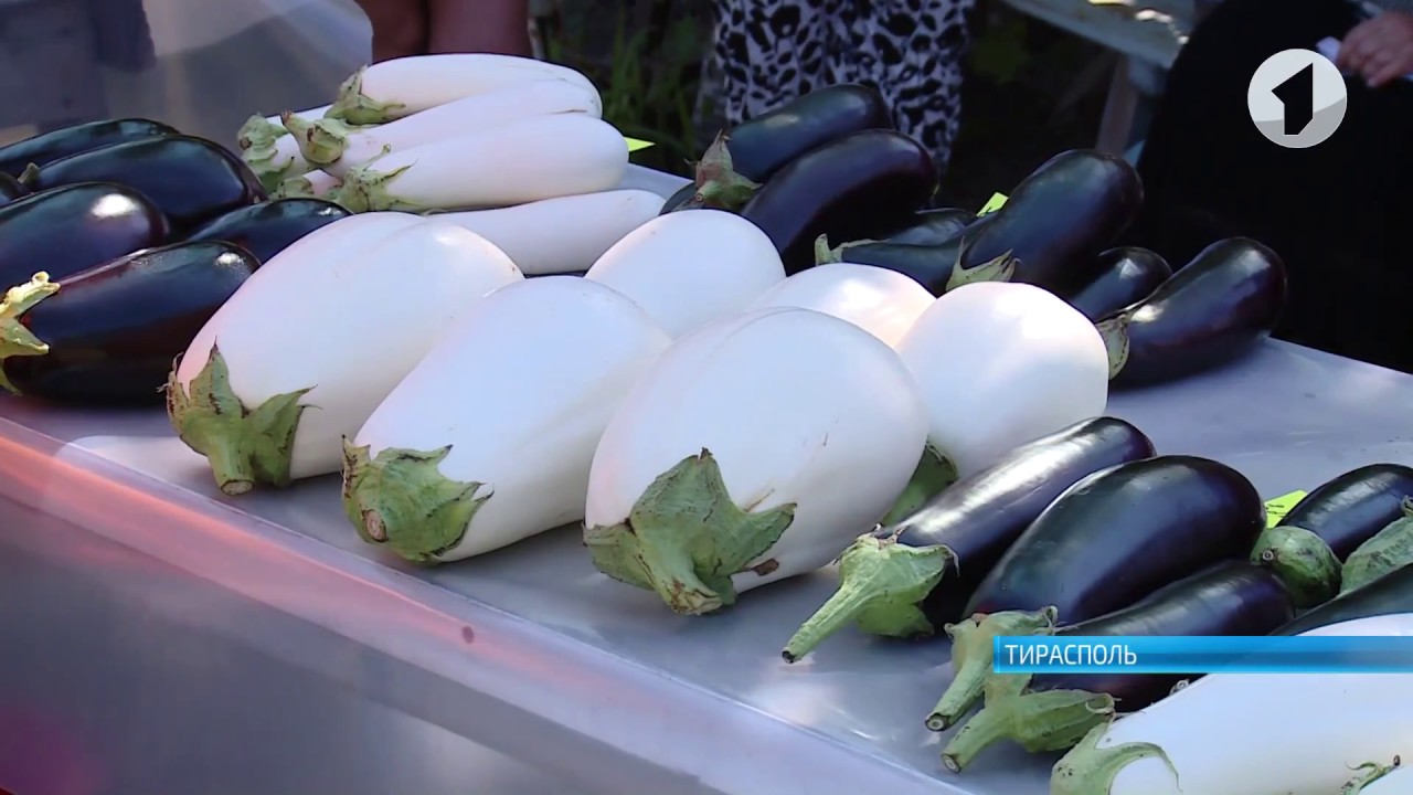 Новые сорта и рынки сбыта приднестровских овощей