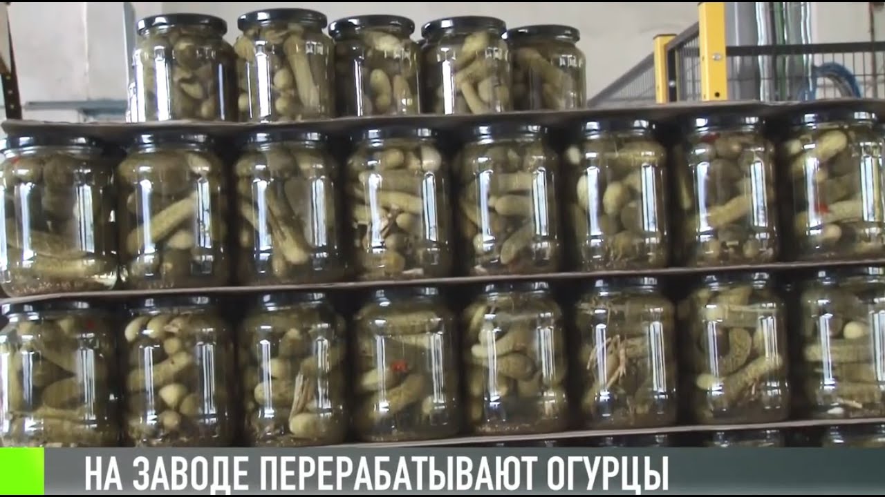 Огурцы от Каменского консервного