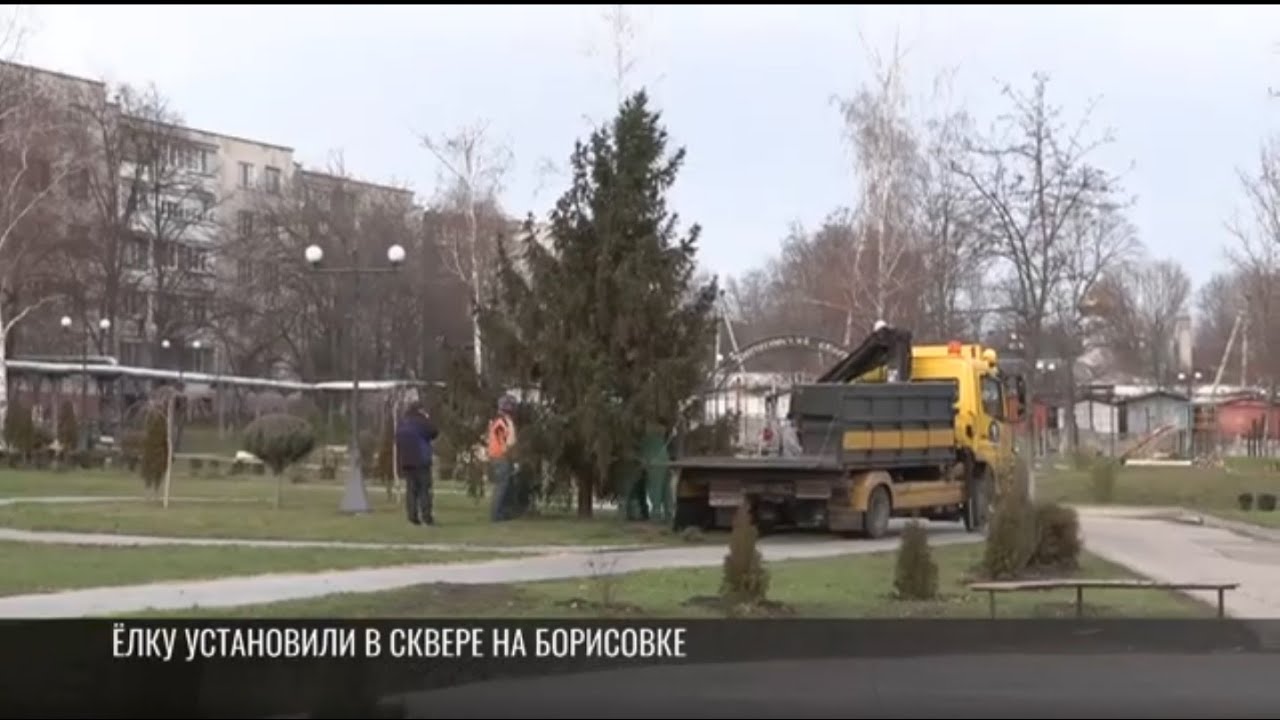 Жительница Бендер подарила семейную ёлку городу