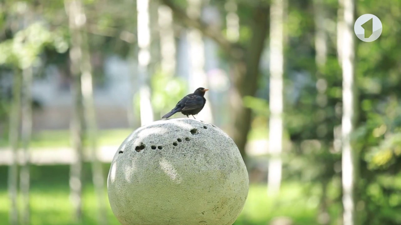 Что общего у Приднестровья, Швейцарии и Боливии?