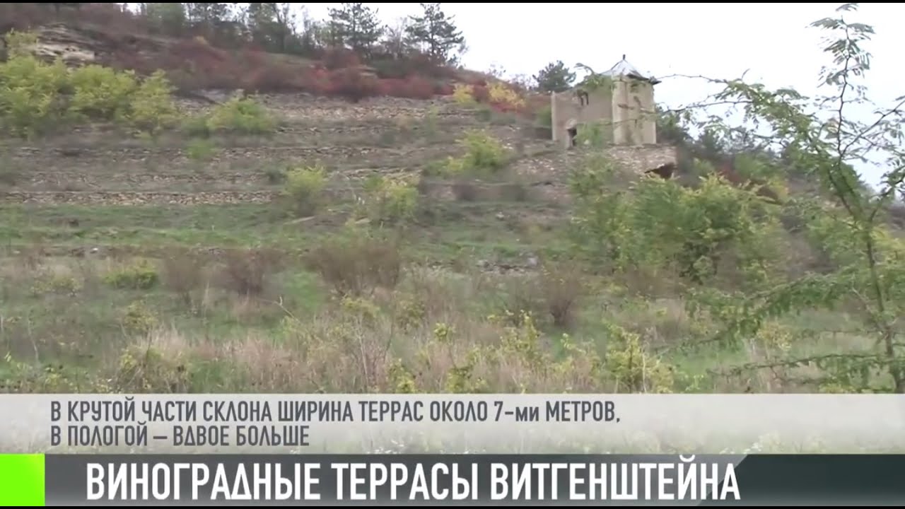 Виноградные террасы Каменки: подробности