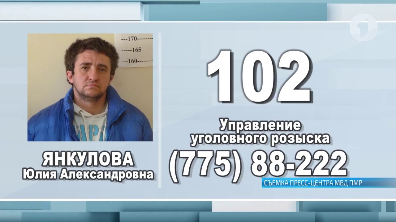 Юлия или Никита? В Тирасполе задержана мошенница-кинолог