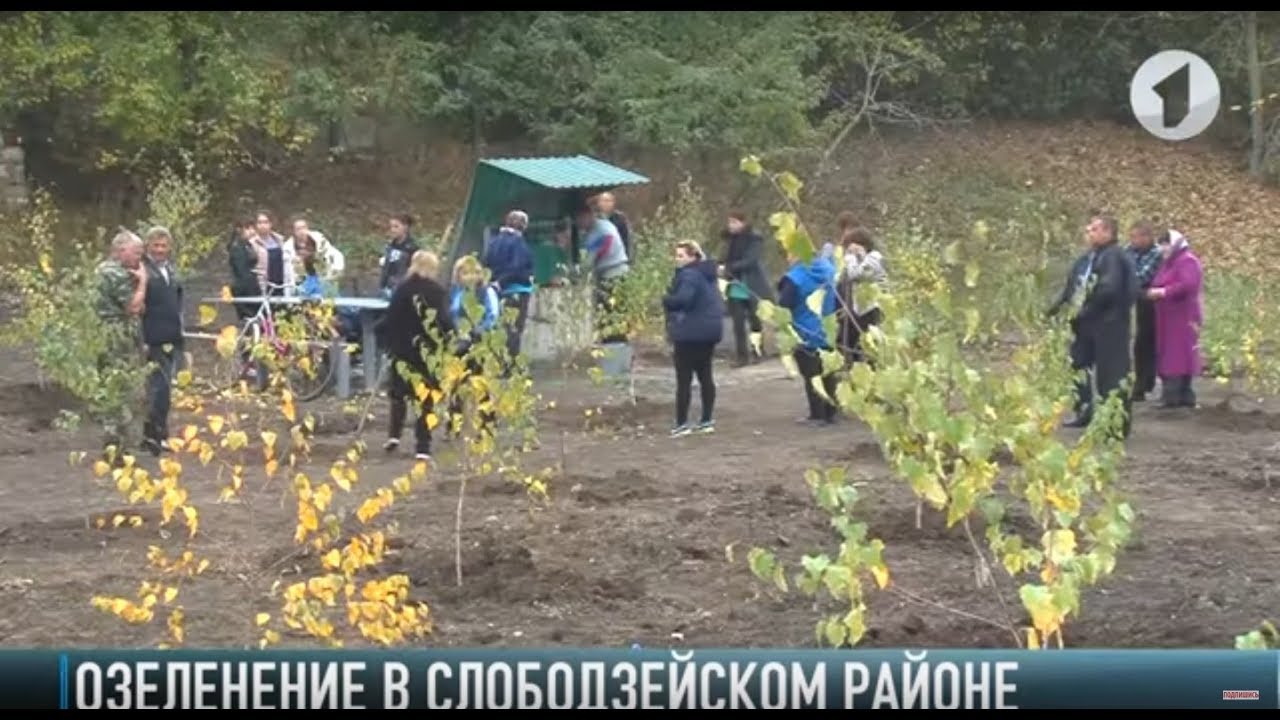 Берёзовый сквер и хвоя для Слободзейского района