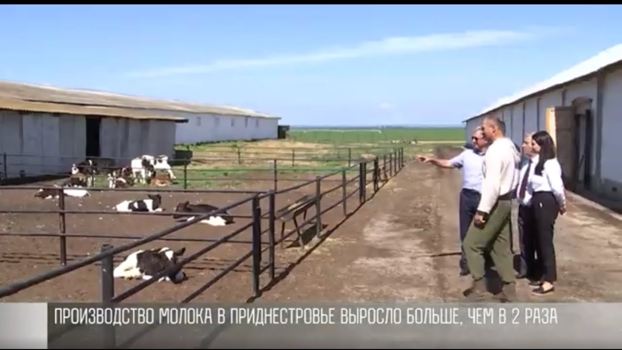 Программы господдержки: инспекция Президента