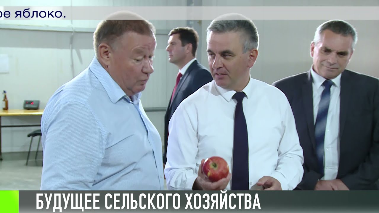 Президент посетил аграриев в Григориопольском районе