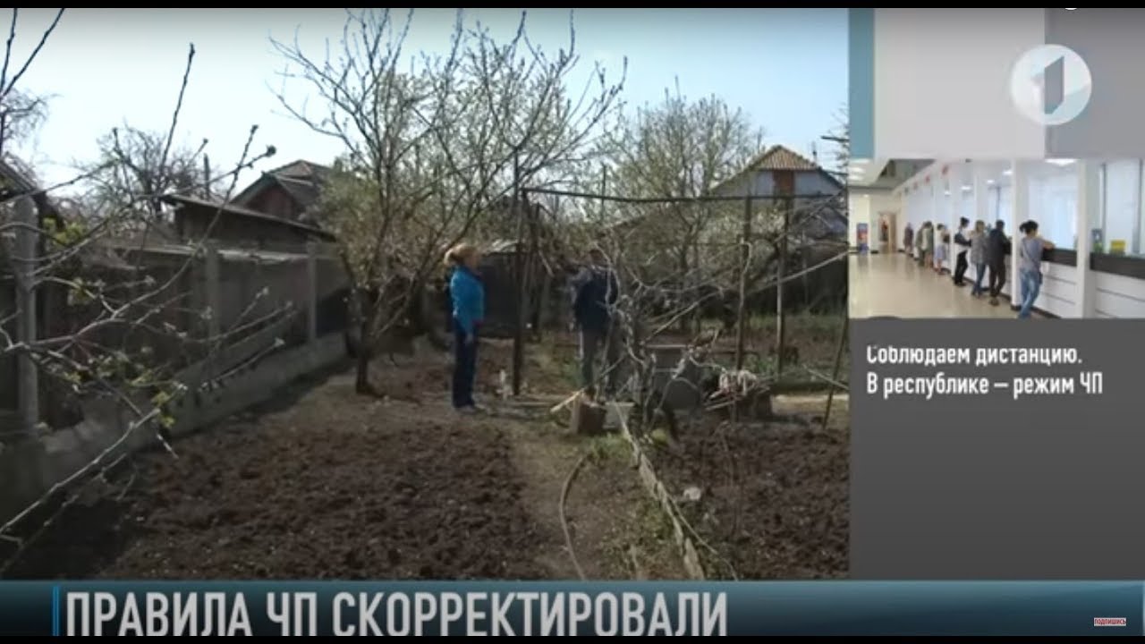 На дачу и прогулку с детьми – по правилам карантина