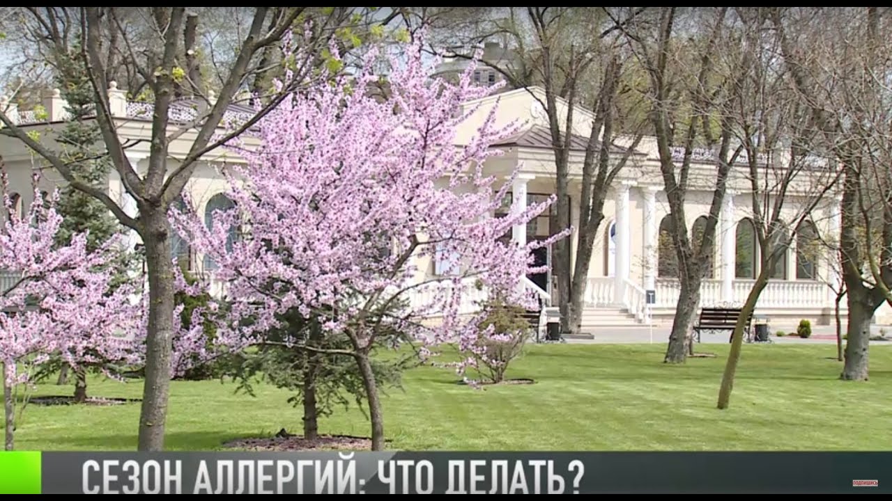 Сезон аллергий: как не спутать с вирусом?