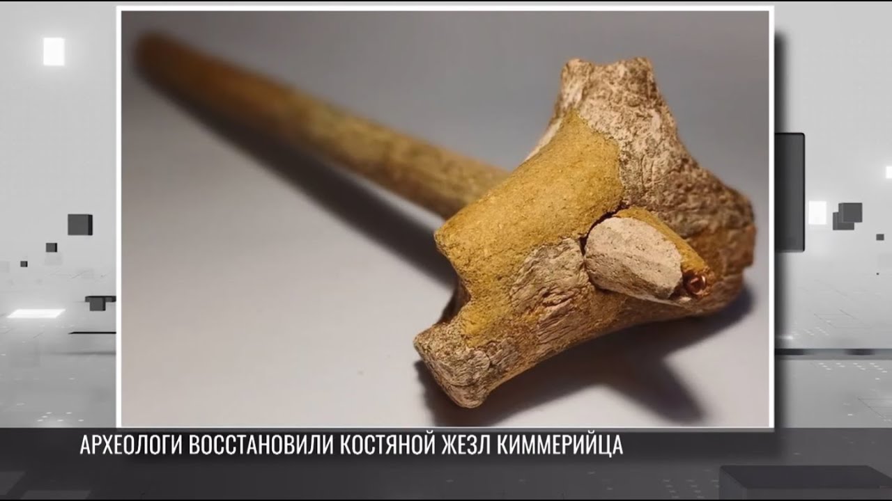 Приднестровские археологи восстановили костяной жезл киммерийца