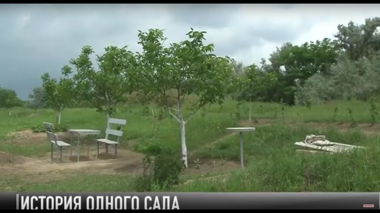 #КЭБ_Итоги. Сад на берегу. История любителя