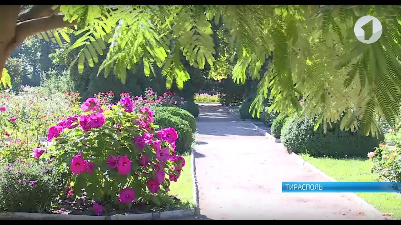 Новый ландшафт и водоём. Как изменится ботанический сад?