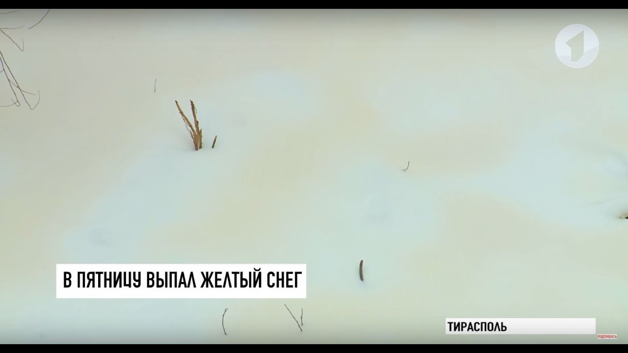 #КЭБ. Без комментариев: аномальный снег