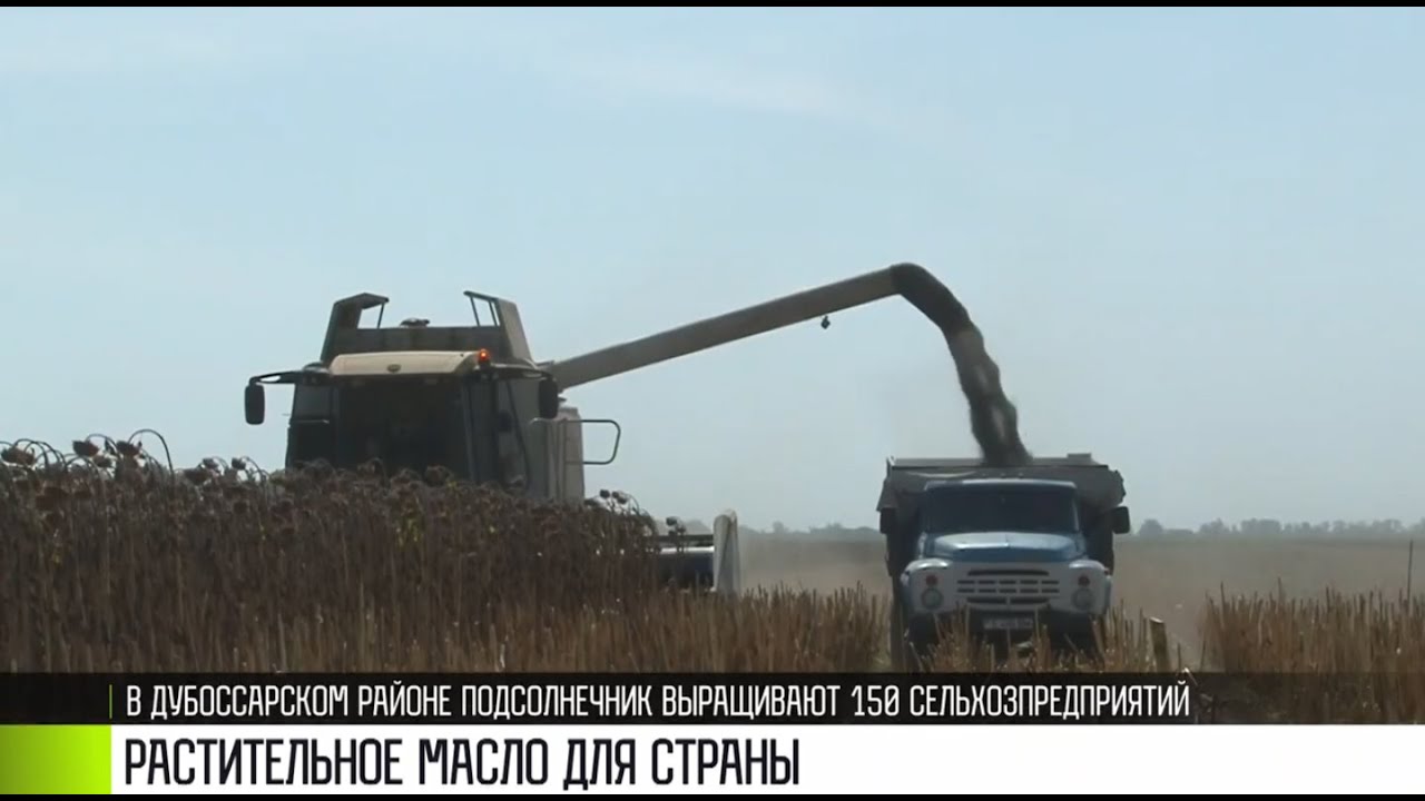 Растительное масло: хватит надолго